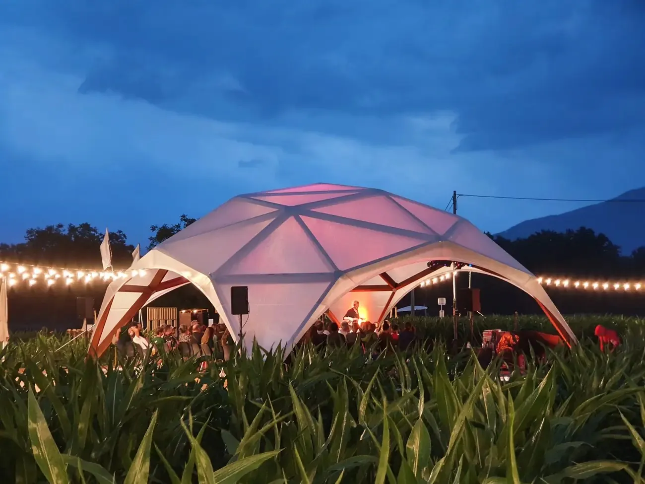 Beleuchteter Wood Dome in der Abenddämmerung