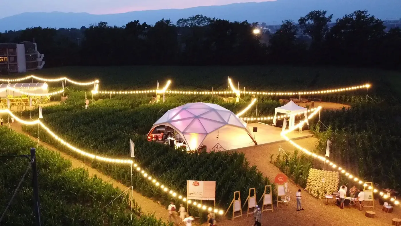 Wood Dome als Bühne an einem Festival mit Lichterketten, von oben fotografiert