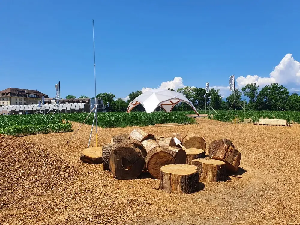 Wood Dome mit Sitzplätzen aus Baumstämmen an einem sonnigen Tag